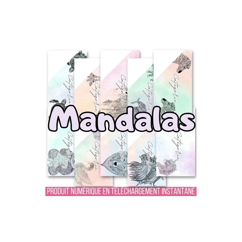 MANDALAS ANIMAL (DIGITAL) - ENVELOPPES BUDGET POUR CLASSEUR A6